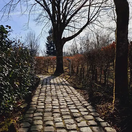 Domaine De L'alu * Samrée