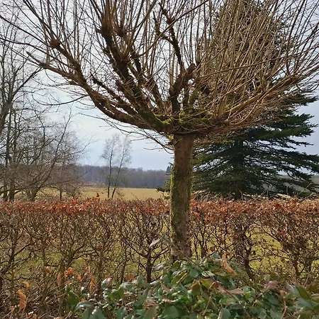 Apartamento Domaine De L'alu