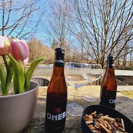 アパート Domaine De L'alu Samrée